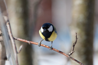 Similar image 5617978