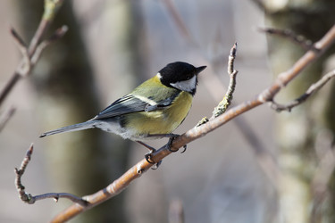 Similar image 5617979