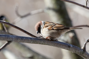 Similar image 5617984