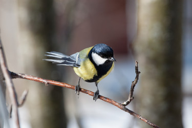 Similar image 5617985