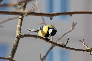 Similar image 5617986