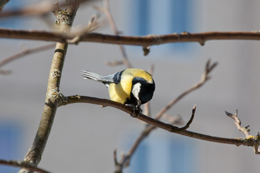 Similar image 5617987