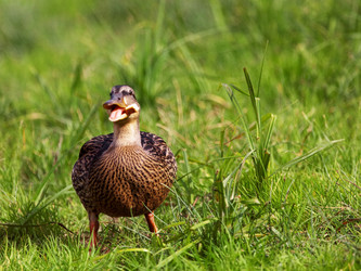 Similar image 5617992