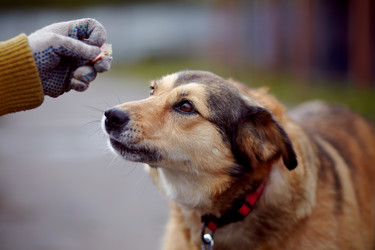 Similar image 5618013