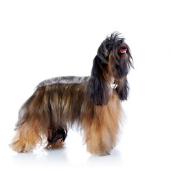 Similar image 5618017