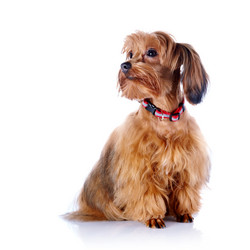 Similar image 5618018