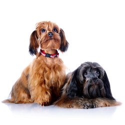 Similar image 5618019