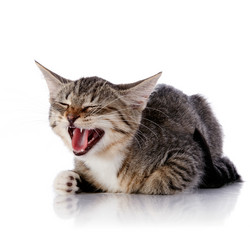 Similar image 5618021