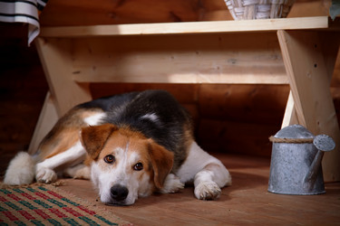 Similar image 5618022