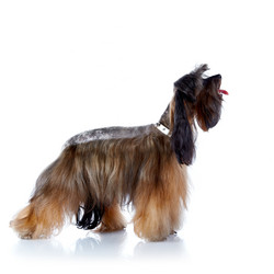 Similar image 5618026