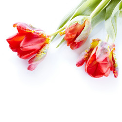 Similar image 5618032