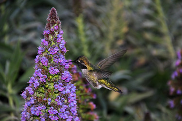 Similar image 5618038