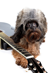 Similar image 5618052