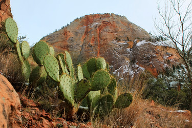 Similar image 5618054