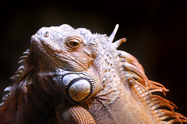 Similar image 5618058