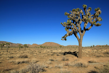 Similar image 5618063