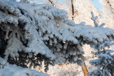 Similar image 5618137