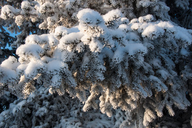 Similar image 5618138