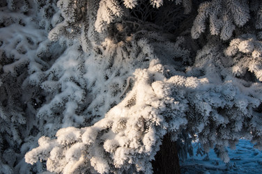 Similar image 5618139