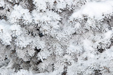 Similar image 5618141