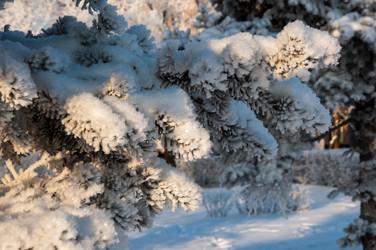 Similar image 5618143