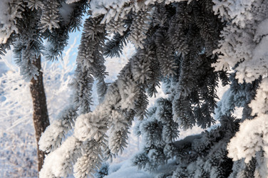 Similar image 5618144