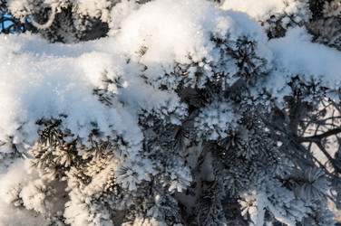 Similar image 5618146