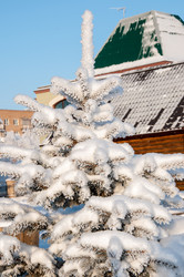 Similar image 5618148