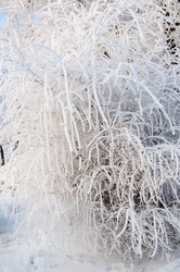 Similar image 5618152