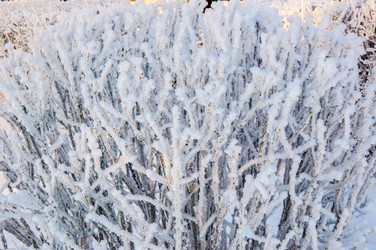 Similar image 5618153