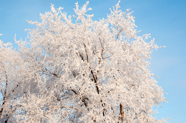 Similar image 5618154