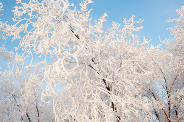 Similar image 5618155