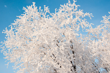 Similar image 5618157