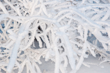 Similar image 5618159