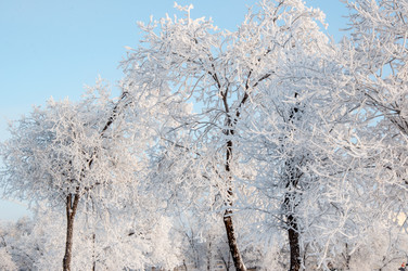 Similar image 5618160