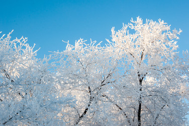 Similar image 5618161