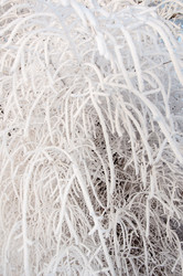 Similar image 5618162