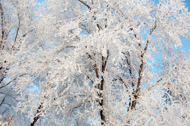 Similar image 5618163