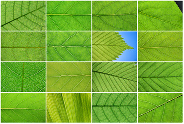 Similar image 5618233