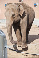 Similar image 5618255