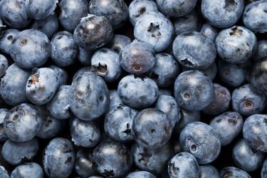 Similar image 5618270