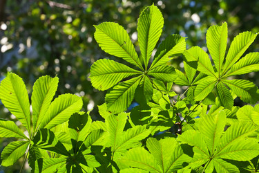 Similar image 5618283