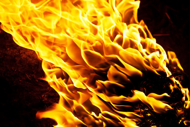 Similar image 5618287