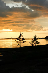 Similar image 5618319