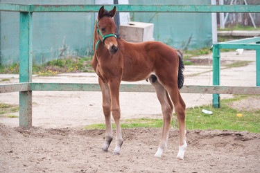 Similar image 5618332