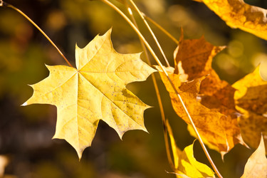 Similar image 5618347