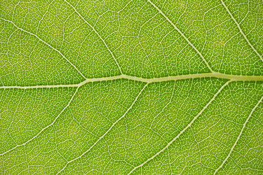 Similar image 5618349