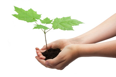 Similar image 5618358