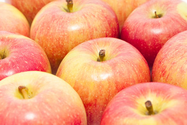 Similar image 5618367