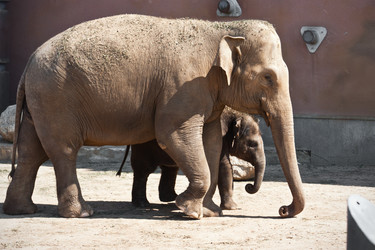 Similar image 5618414